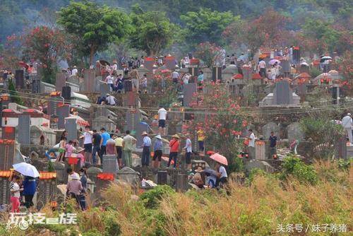 坟头草能不能拔掉(农村上坟扫墓锄坟头草是非常有讲究的)-图片3